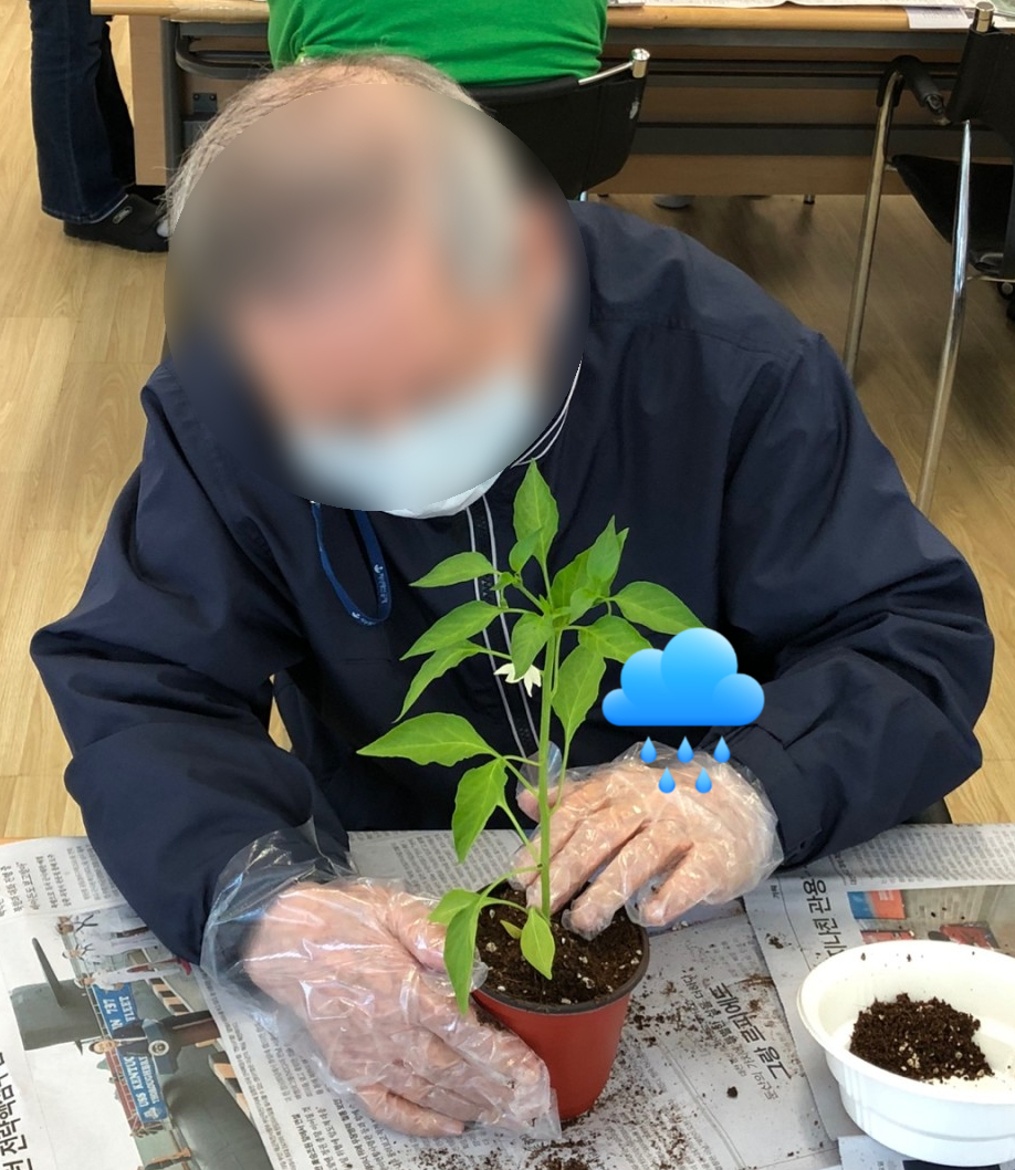/user/p/peacesilvercare/editor/2505/4332aea3c26ac3f8a3d1e4f97e08cbbb_1747452746_7803.jpg 이미지크게보기