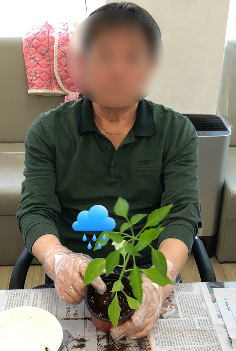 /user/p/peacesilvercare/editor/2505/4332aea3c26ac3f8a3d1e4f97e08cbbb_1747452935_5966.jpg 이미지크게보기